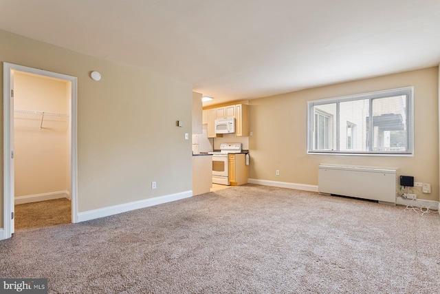 1009 Chillum Rd Unit 305, Hyattsville, MD 20782 - unfurnished living room featuring light carpet