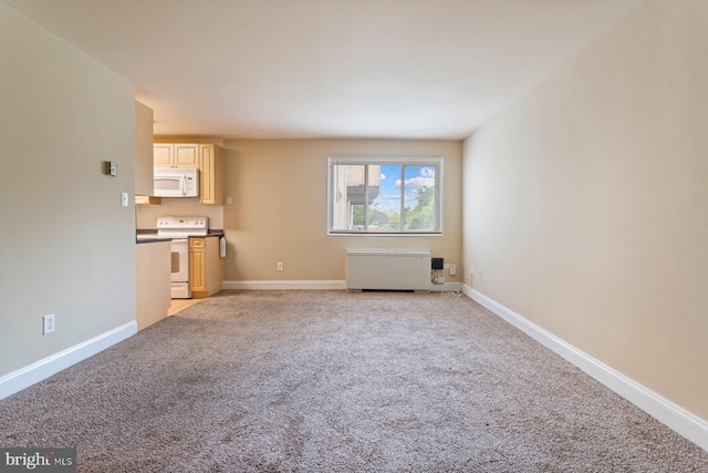 1009 Chillum Rd Unit 305, Hyattsville, MD 20782 - unfurnished living room with light colored carpet and baseboards