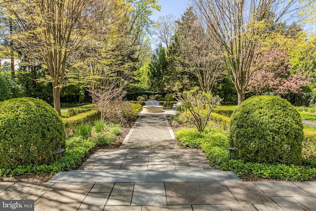15 Hodge Rd, Princeton, NJ 08540 - view of community