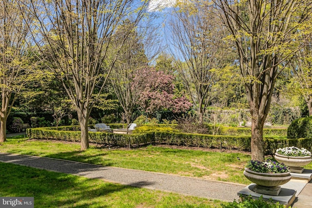 15 Hodge Rd, Princeton, NJ 08540 - view of grassy yard