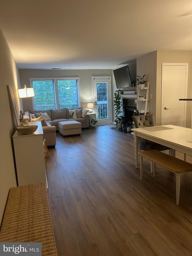 3176 Summit Square Dr Unit 4-D7, Oakton, VA 22124 - living room featuring wood finished floors and a fireplace