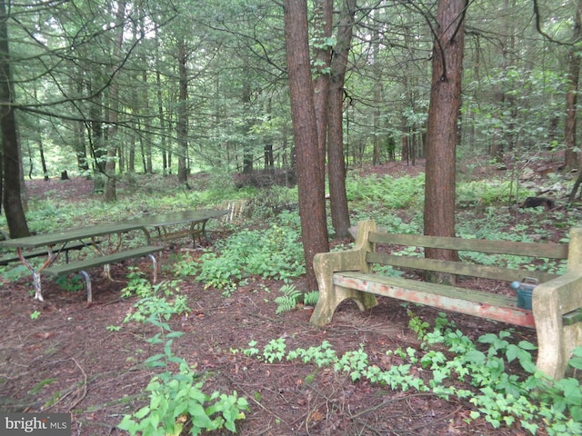 4350 Back Maitland Rd, Mcclure, PA 17841 - view of yard with a wooded view