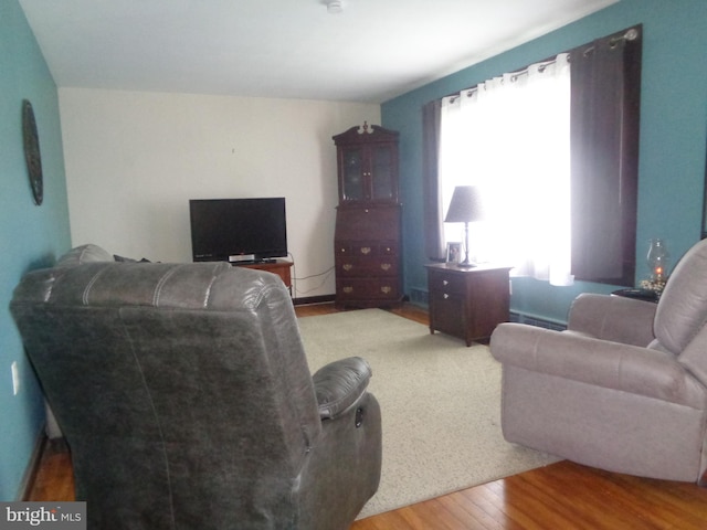 4350 Back Maitland Rd, Mcclure, PA 17841 - living room featuring healthy amount of natural light and wood finished floors