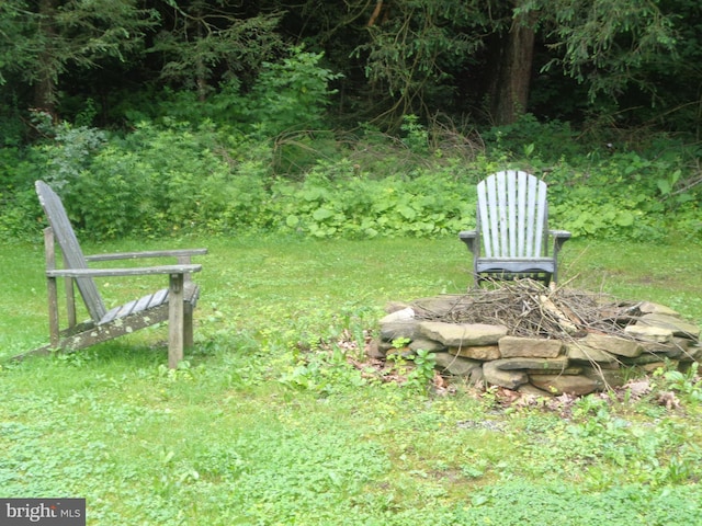 4350 Back Maitland Rd, Mcclure, PA 17841 - view of yard