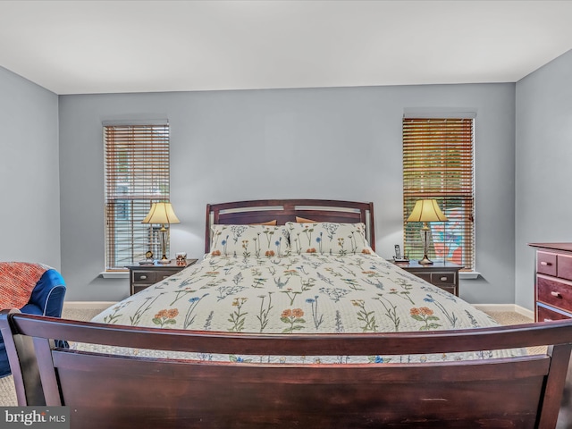 158 Dinwiddie Way, Kearneysville, WV 25430 - bedroom with baseboards and carpet flooring