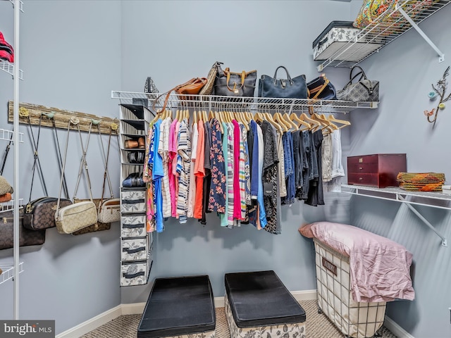 158 Dinwiddie Way, Kearneysville, WV 25430 - spacious closet featuring carpet floors
