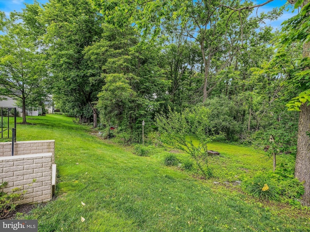 158 Dinwiddie Way, Kearneysville, WV 25430 - view of grassy yard