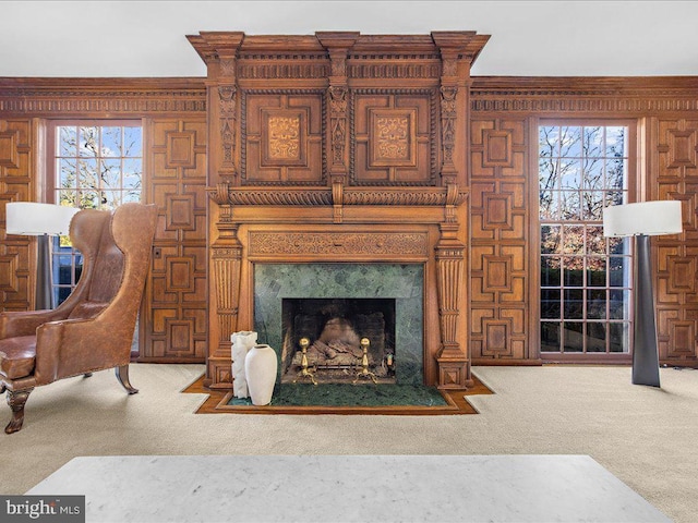 4332 N Charles St, Baltimore, MD 21218 - living room featuring carpet floors, healthy amount of natural light, and a fireplace