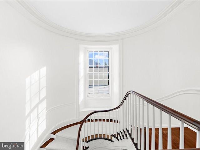 4332 N Charles St, Baltimore, MD 21218 - stairs featuring ornamental molding
