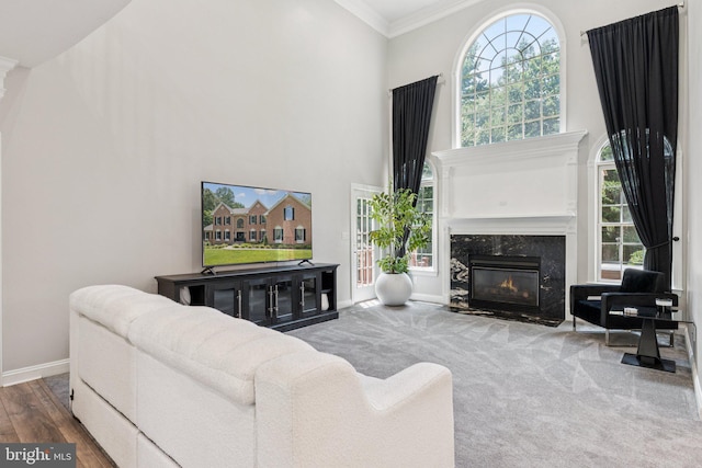 1508 Cornerstone Ct, Crownsville, MD 21032 - living area with a high ceiling, a high end fireplace, ornamental molding, healthy amount of natural light, and wood finished floors