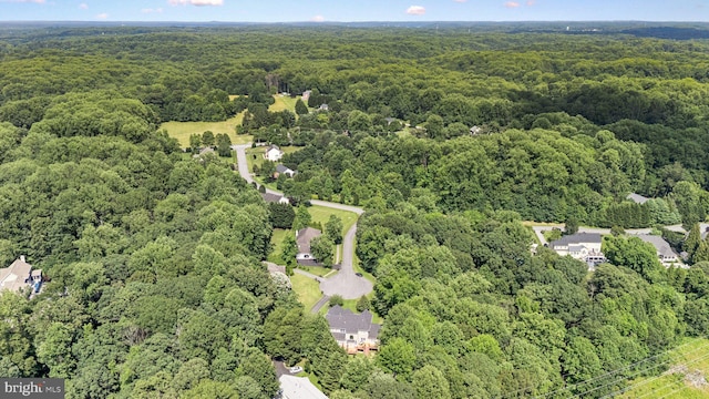 1508 Cornerstone Ct, Crownsville, MD 21032 - aerial view of a forest