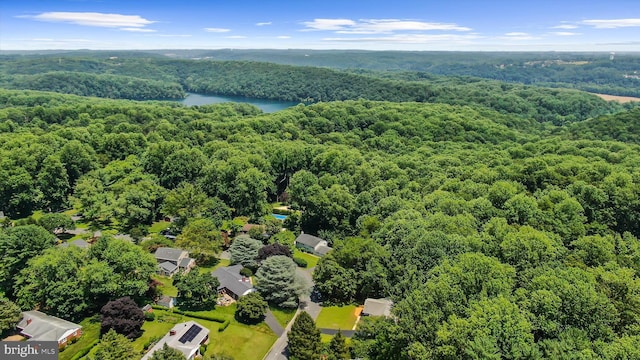 1013 Roxleigh Rd, Baltimore, MD 21286 - bird's eye view of a forest and a nearby body of water