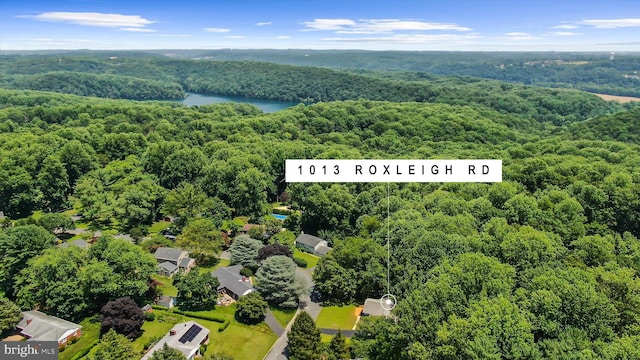 1013 Roxleigh Rd, Baltimore, MD 21286 - drone / aerial view of a forest and a large body of water