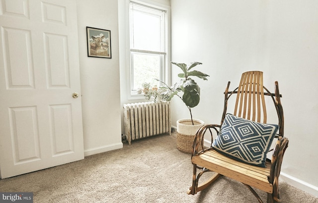 2426 E Indiana Ave, Philadelphia, PA 19134 - sitting room with radiator heating unit and carpet floors