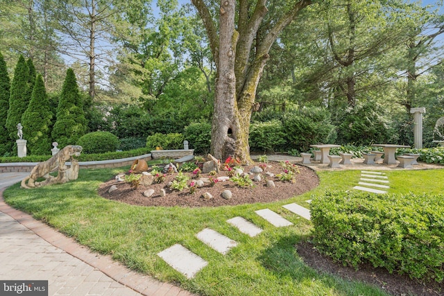 423 Seneca Rd, Great Falls, VA 22066 - view of grassy yard