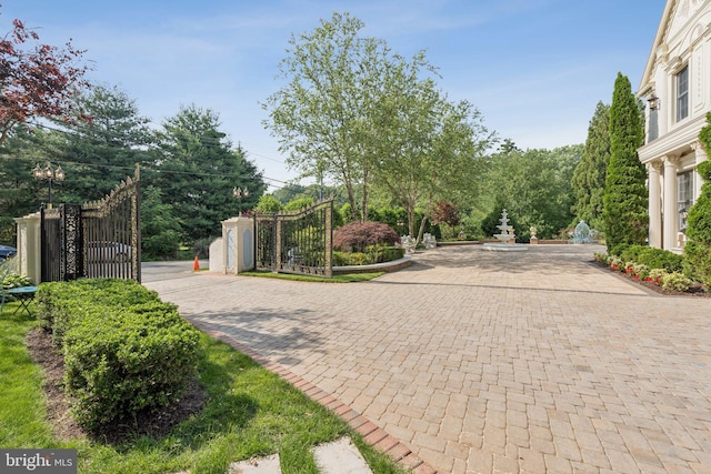 423 Seneca Rd, Great Falls, VA 22066 - view of road featuring a gated entry