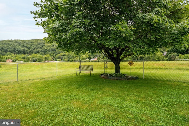 108 W Center St, Kitzmiller, MD 21538 - view of yard