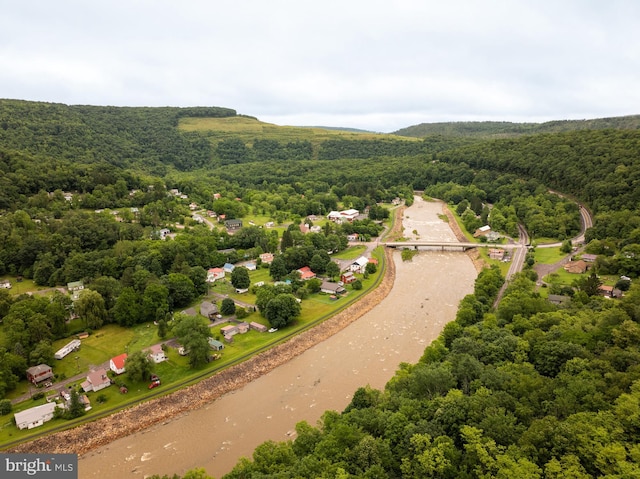 108 W Center St, Kitzmiller, MD 21538 - drone / aerial view of a forest