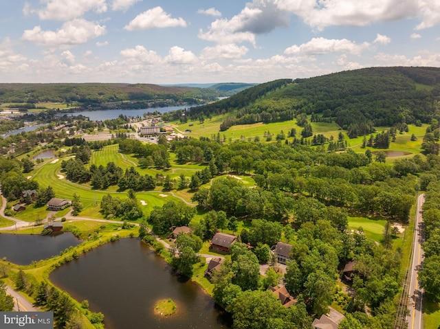60 Barbaras Way, Mc Henry, MD 21541 - aerial view of a large body of water