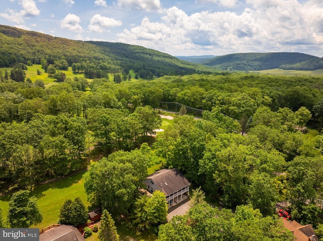 60 Barbaras Way, Mc Henry, MD 21541 - bird's eye view of a forest and mountains