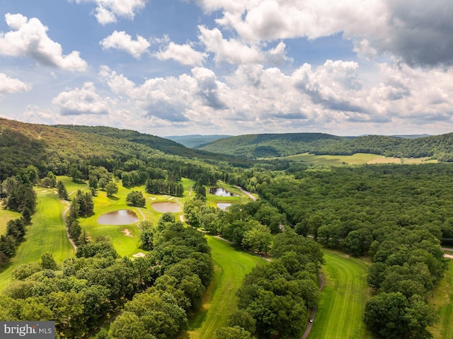 60 Barbaras Way, Mc Henry, MD 21541 - aerial view of a water and mountain view and a heavily wooded area