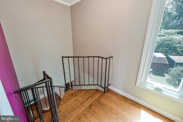 8615 Acorn Cir, Vienna, VA 22180 - stairway featuring crown molding and wood finished floors
