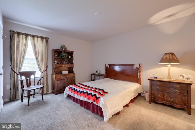 36 Elm Ct, Lancaster, PA 17603 - bedroom with light colored carpet
