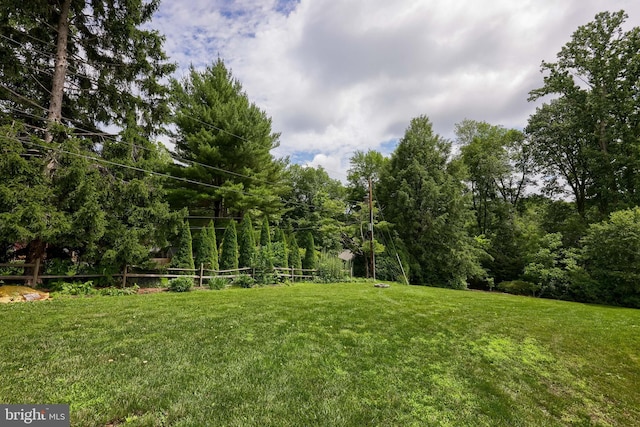 36 Elm Ct, Lancaster, PA 17603 - view of grassy yard