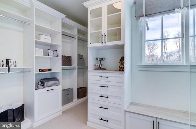 Lot1 Nathan Hale, Berwyn, PA 19312 - spacious closet featuring light colored carpet