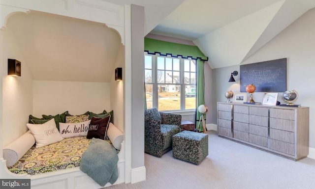 Lot1 Nathan Hale, Berwyn, PA 19312 - carpeted bedroom featuring vaulted ceiling and baseboards