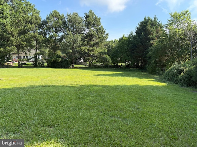 5 Michael Ct, Rehoboth Beach, DE 19971 - view of grassy yard