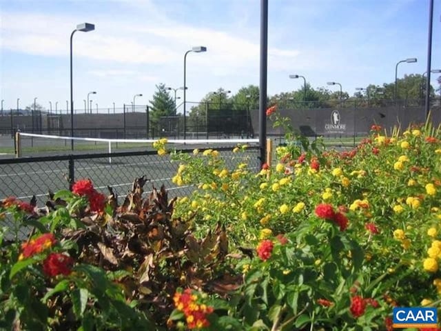 3190 Prestwick Pl, Keswick, VA 22947 - view of tennis court