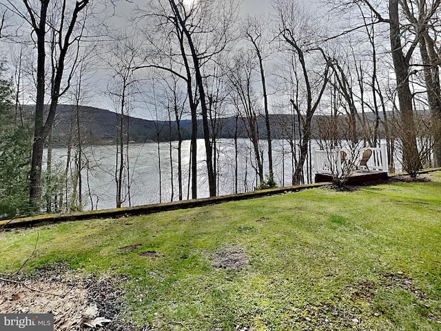 3067 Shingle Camp Rd, Mc Henry, MD 21541 - water view