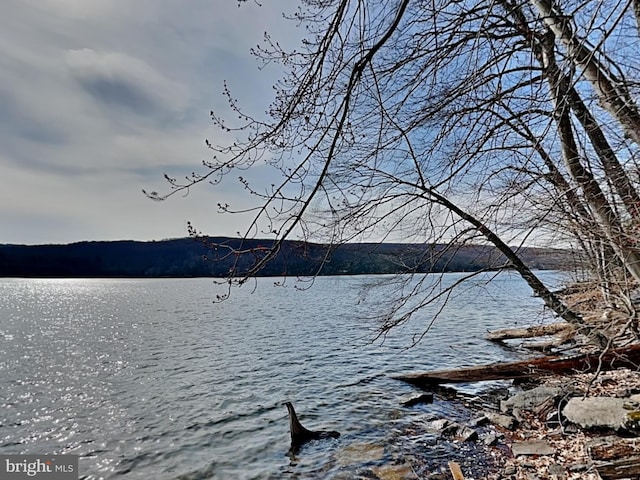 3067 Shingle Camp Rd, Mc Henry, MD 21541 - water view