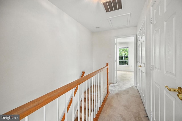 6949 Banchory Ct, Alexandria, VA 22315 - hallway with light carpet