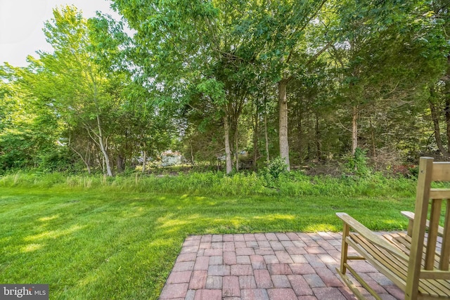 15 Kresson Ct, Berlin, NJ 08009 - view of grassy yard with a patio area