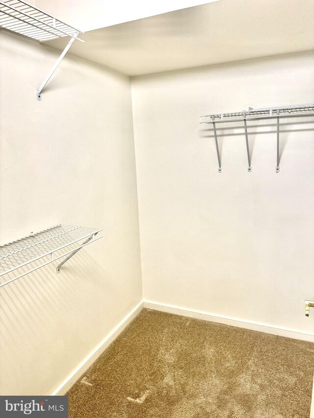 1105 S Schumaker Dr Unit B-103, Salisbury, MD 21804 - spacious closet featuring carpet flooring