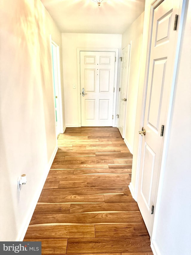 1105 S Schumaker Dr Unit B-103, Salisbury, MD 21804 - corridor featuring light wood-style floors