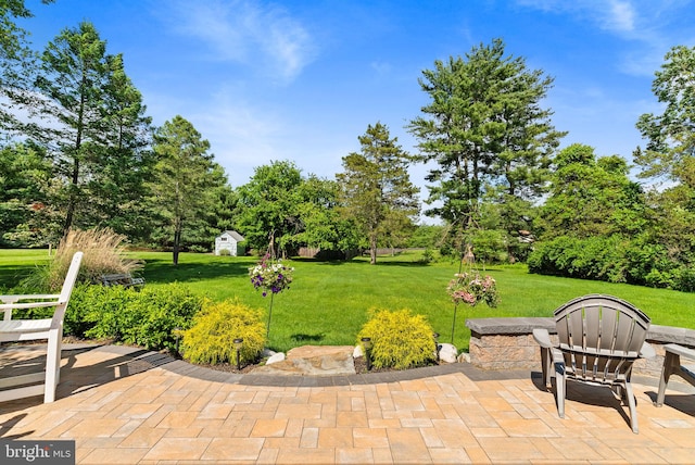 108 Walker Rd, Washington Crossing, PA 18977 - view of patio / terrace featuring a shed and view of wooded area