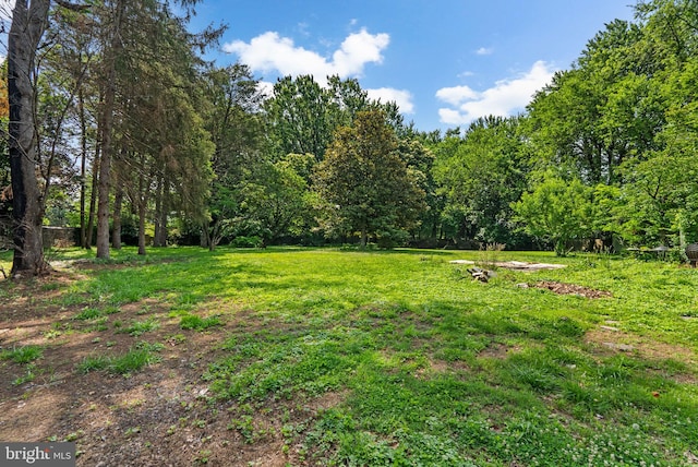 13321 Travilah Rd, Potomac, MD 20854 - view of grassy yard with a forest view