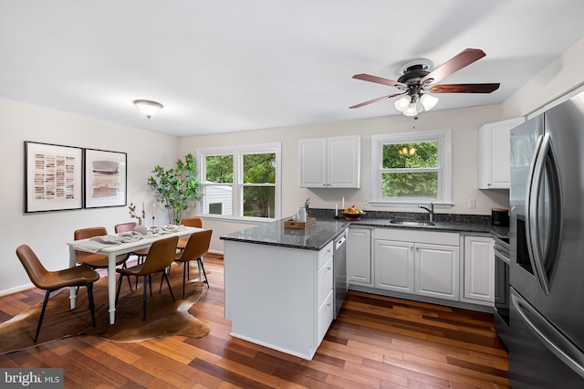 5315 Debbie Ct, Ellicott City, MD 21043 - kitchen featuring appliances with stainless steel finishes, a peninsula, plenty of natural light, and ceiling fan