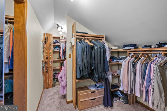 16 Golfview Ln, Reading, PA 19606 - walk in closet with lofted ceiling and carpet floors
