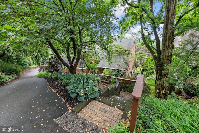 16 Golfview Ln, Reading, PA 19606 - view of yard