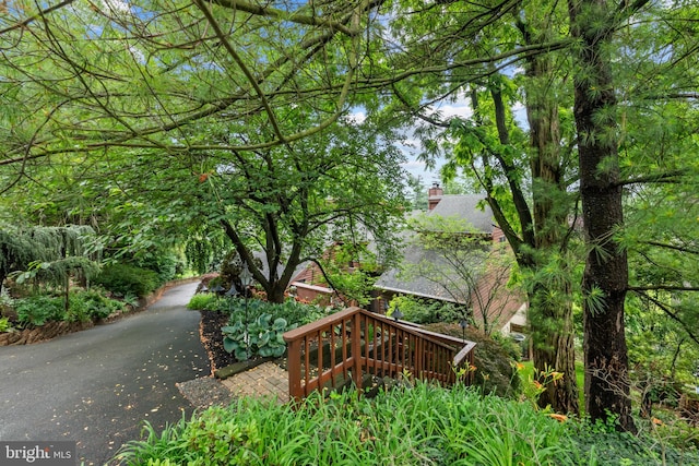 16 Golfview Ln, Reading, PA 19606 - view of yard