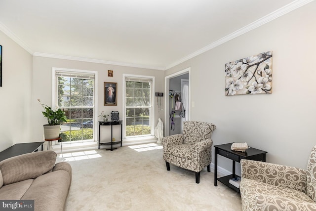 6 Oxen Ct, Stafford, VA 22554 - living area featuring ornamental molding and carpet flooring