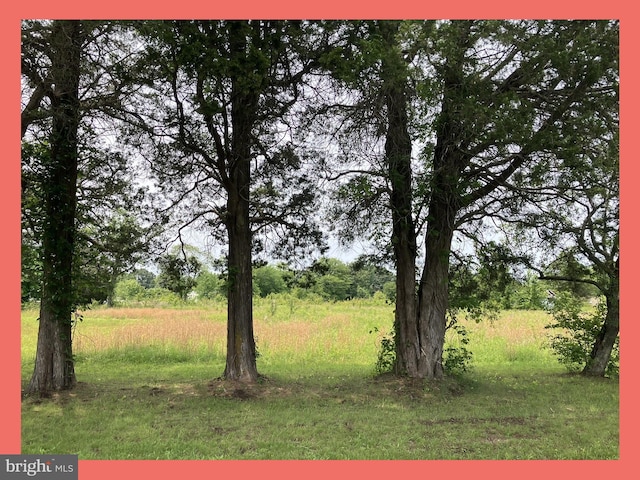 Longview Blvd, Bushwood, MD 20618