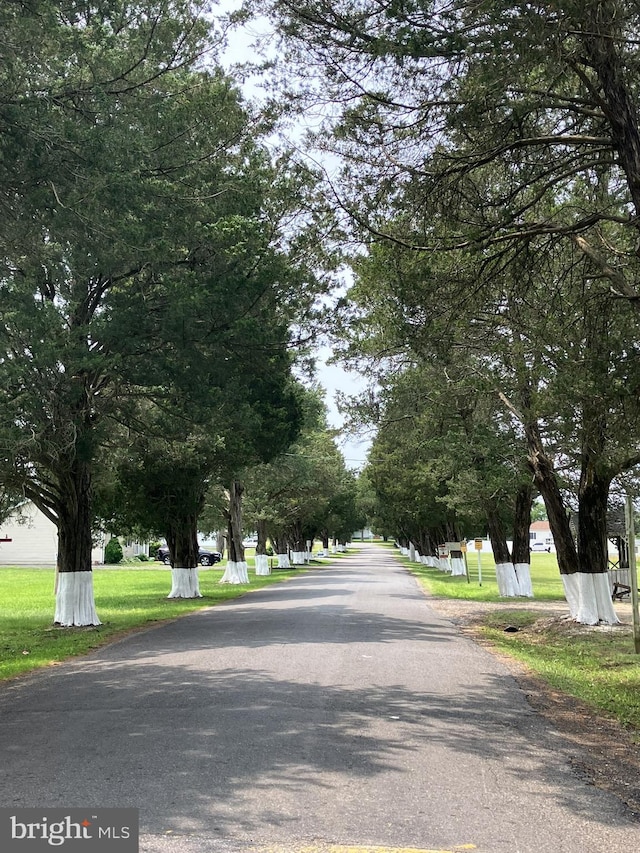 Longview Blvd, Bushwood, MD 20618