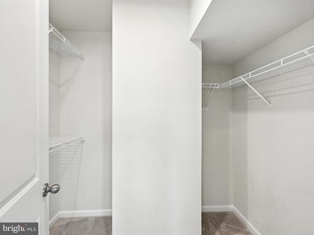 18286 Summit Pointe Dr, Triangle, VA 22172 - walk in closet featuring carpet