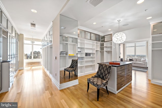 130 S 18th St Unit 3102, Philadelphia, PA 19103 - spacious closet featuring a chandelier and light wood-style flooring