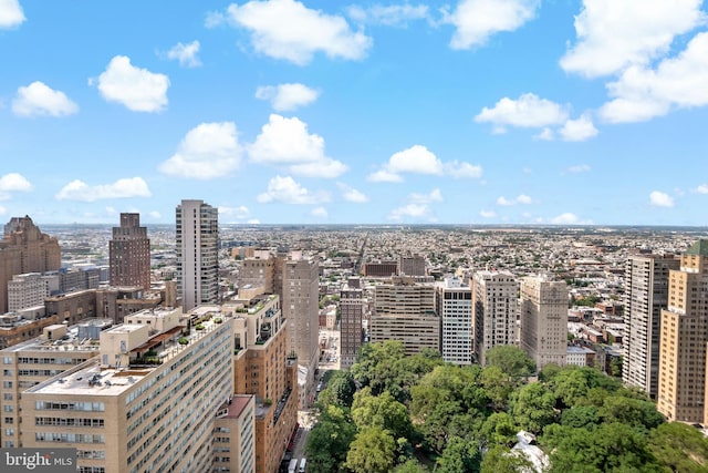130 S 18th St Unit 3102, Philadelphia, PA 19103 - city view